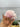 Pink Halite Crystal | Halite Crystal from Searles Lake, CA
