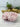 XXL Pink Halite Crystal | Halite Crystal from Searles Lake, CA