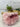 XXL Pink Halite Crystal | Halite Crystal from Searles Lake, CA
