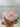 XXL Pink Halite Crystal | Halite Crystal from Searles Lake, CA