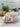 XXL Pink Halite Crystal | Halite Crystal from Searles Lake, CA