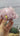 Pink Halite Crystal | Halite Crystal from Searles Lake, Trona California