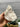 Large Pink Apophyllite Cluster