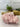 XXL Pink Halite Crystal | Halite Crystal from Searles Lake, Trona Ca