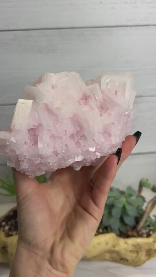 XXL Pink Halite Crystal | Halite Crystal from Searles Lake, Trona California