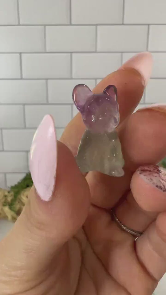 Mini Fluorite French Bulldog Puppy Carving