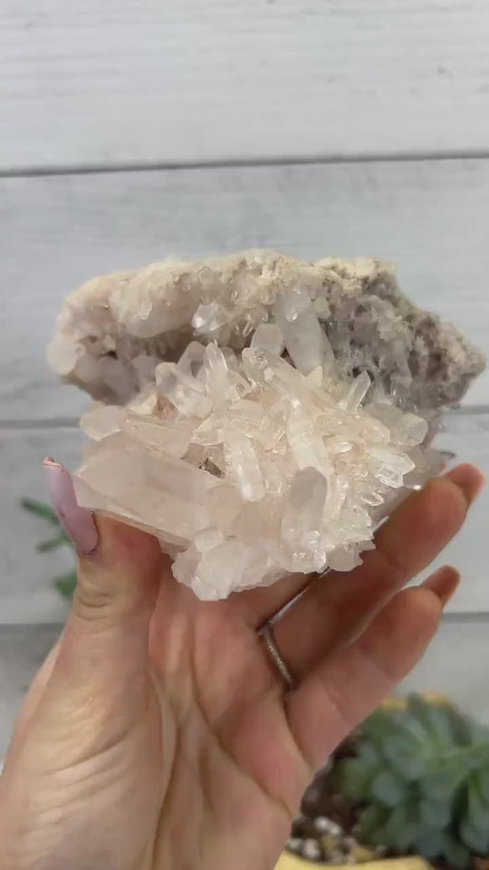 XL Pink Himalayan Samadhi Quartz Cluster